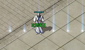 新开私服
